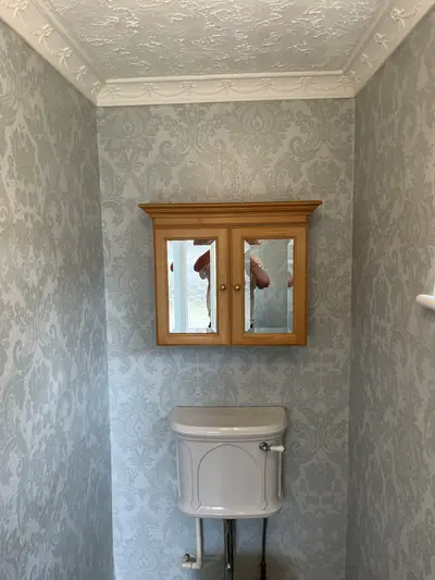 Cloakroom papered in pale grey-green damask wallpaper with an artex ceiling and coving, a pine mirrored cabinet and a white toilet cistern.